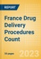 France Drug Delivery Procedures Count by Segments (Procedures Using Central Venous Catheters and Procedures Using Implantable Ports) and Forecast to 2030 - Product Thumbnail Image
