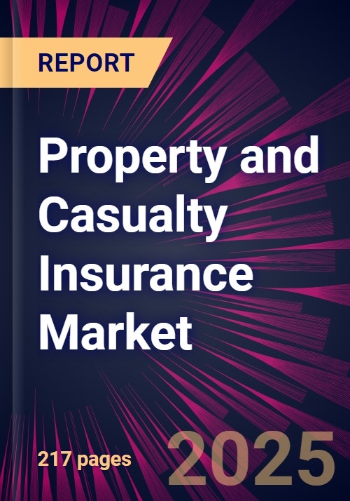 Property and Casualty Insurance Market 20232027