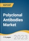 Polyclonal Antibodies Market Size, Share & Trends Analysis Report By Product (Primary, Secondary), By Application (Biomedical Research, Diagnostics), By Source (Rabbit, Goats), By End-user, By Region, And Segment Forecasts, 2023 - 2030 - Product Image