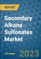 Secondary Alkane Sulfonates Market Outlook and Growth Forecast 2023-2030: Emerging Trends and Opportunities, Global Market Share Analysis, Industry Size, Segmentation, Post-Covid Insights, Driving Factors, Statistics, Companies, and Country Landscape - Product Image
