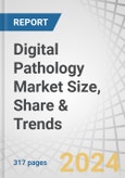 Digital Pathology Market Size, Share & Trends by Product (Scanner, Software, Storage System), Type (Human, Veterinary), Application (Teleconsultation, Training, Disease Diagnosis, Drug Discovery), End User (Pharma & Biotech, Academia, Hospitals) - Forecast to 2029- Product Image
