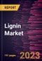 Lignin Market Forecast to 2028 - Global Analysis by Type, by Form, by Application - Product Image