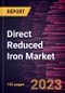 Direct Reduced Iron Market Forecast to 2030 - Global Analysis by Form, Production Process, Application - Product Thumbnail Image