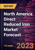 North America Direct Reduced Iron Market Forecast to 2028 - Regional Analysis by Form, Production Process, Application- Product Image
