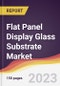 Flat Panel Display (FPD) Glass Substrate Market: Trends, Opportunities and Competitive Analysis 2023-2028 - Product Image