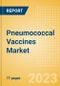 Pneumococcal Vaccines (PV) Marketed and Pipeline Drugs Assessment, Clinical Trials and Competitive Landscape - Product Image