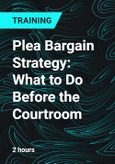 Plea Bargain Strategy: What to Do Before the Courtroom- Product Image