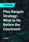 Plea Bargain Strategy: What to Do Before the Courtroom - Product Thumbnail Image