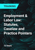 Employment & Labor Law: Statutes, Caselaw and Practice Pointers- Product Image