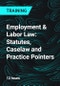 Employment & Labor Law: Statutes, Caselaw and Practice Pointers - Product Thumbnail Image
