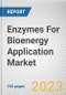Enzymes For Bioenergy Application Market By Source (Microorganisms, Plants, Animals), By Enzyme Type (Amylases, Lipases, Cellulose, Others), By Reaction Type (Hydrolysis, Transesterification, Others): Global Opportunity Analysis and Industry Forecast, 2022-2031 - Product Image