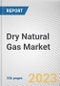 Dry Natural Gas Market By Source (Onshore, Offshore), By End Use (Power Generation, Transportation, Residential, Commercial, Industrial, Others): Global Opportunity Analysis and Industry Forecast, 2021-2031 - Product Thumbnail Image