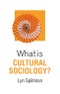 What is Cultural Sociology?. Edition No. 1. What is Sociology? - Product Thumbnail Image