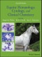 Equine Hematology, Cytology, and Clinical Chemistry. Edition No. 2 - Product Image