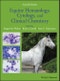 Equine Hematology, Cytology, and Clinical Chemistry. Edition No. 2 - Product Thumbnail Image
