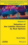 Valuation of the Liability Structure by Real Options. Edition No. 1- Product Image