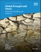 Global Drought and Flood. Monitoring, Prediction, and Adaptation. Edition No. 1. Geophysical Monograph Series - Product Image