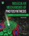 Molecular Mechanisms of Photosynthesis. Edition No. 3 - Product Thumbnail Image