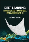 Deep Learning. From Big Data to Artificial Intelligence with R. Edition No. 1- Product Image
