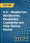 U.S. - Raspberries, Blackberries, Blueberries, Cranberries and Other Berries - Market Analysis, Forecast, Size, Trends and Insights - Product Thumbnail Image