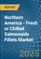 Northern America - Fresh or Chilled Salmonoids Fillets - Market Analysis, Forecast, Size, Trends and Insights - Product Thumbnail Image