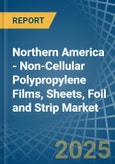 Northern America - Non-Cellular Polypropylene Films, Sheets, Foil and Strip - Market Analysis, Forecast, Size, Trends and Insights- Product Image