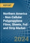 Northern America - Non-Cellular Polypropylene Films, Sheets, Foil and Strip - Market Analysis, Forecast, Size, Trends and Insights - Product Image
