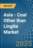 Asia - Coal Other than Lingite - Market Analysis, Forecast, Size, Trends and Insights- Product Image