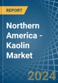 Northern America - Kaolin - Market Analysis, Forecast, Size, Trends and Insights- Product Image