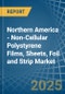 Northern America - Non-Cellular Polystyrene Films, Sheets, Foil and Strip - Market Analysis, Forecast, Size, Trends and Insights - Product Thumbnail Image