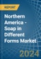 Northern America - Soap in Different Forms - Market Analysis, Forecast, Size, Trends and insights - Product Thumbnail Image