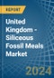 United Kingdom - Siliceous Fossil Meals (Kieselguhr, Tripolite and Diatomite) - Market Analysis, Forecast, Size, Trends and Insights - Product Thumbnail Image