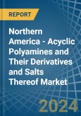 Northern America - Acyclic Polyamines and Their Derivatives and Salts Thereof (Excl. Hexamethylenediamine and Ethylenediamine) - Market Analysis, Forecast, Size, Trends and Insights- Product Image