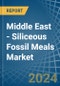 Middle East - Siliceous Fossil Meals (Kieselguhr, Tripolite and Diatomite) - Market Analysis, Forecast, Size, Trends and Insights - Product Thumbnail Image