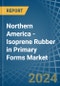 Northern America - Isoprene Rubber (IR) in Primary Forms - Market Analysis, Forecast, Size, Trends and insights - Product Thumbnail Image
