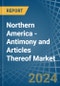 Northern America - Antimony and Articles Thereof - Market Analysis, Forecast, Size, Trends and Insights - Product Thumbnail Image