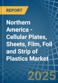 Northern America - Cellular Plates, Sheets, Film, Foil and Strip of Plastics - Market Analysis, Forecast, Size, Trends and Insights- Product Image