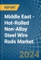 Middle East - Hot-Rolled Non-Alloy Steel Wire Rods - Market Analysis, Forecast, Size, Trends and Insights - Product Thumbnail Image