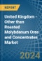 United Kingdom - Other than Roasted Molybdenum Ores and Concentrates - Market Analysis, Forecast, Size, Trends and Insights - Product Image