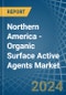 Northern America - Organic Surface Active Agents - Market Analysis, Forecast, Size, Trends and Insights - Product Thumbnail Image