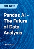 Pandas AI - The Future of Data Analysis- Product Image