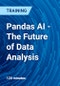 Pandas AI - The Future of Data Analysis - Product Thumbnail Image