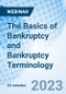 The Basics of Bankruptcy and Bankruptcy Terminology - Webinar (Recorded) - Product Thumbnail Image