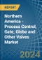Northern America - Process Control, Gate, Globe and Other Valves - Market Analysis, Forecast, Size, Trends and Insights - Product Image