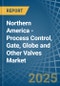 Northern America - Process Control, Gate, Globe and Other Valves - Market Analysis, Forecast, Size, Trends and Insights - Product Image