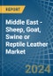 Middle East - Sheep, Goat, Swine or Reptile Leather - Market Analysis, Forecast, Size, Trends and Insights - Product Thumbnail Image