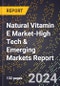 2024 Global Forecast for Natural Vitamin E Market (2025-2030 Outlook)-High Tech & Emerging Markets Report - Product Image