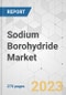 Sodium Borohydride Market - Global Industry Analysis, Size, Share, Growth, Trends, and Forecast, 2023-2031 - Product Image