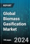 Global Biomass Gasification Market by Source (Agricultural Waste, Animal Waste, Forest Waste), Technologies (Entrained flow Gasifier, Fixed-bed Gasifier, Fluidized-bed Gasifier), Application - Forecast 2024-2030 - Product Image