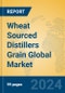 Wheat Sourced Distillers Grain Global Market Insights 2024, Analysis and Forecast to 2029, by Manufacturers, Regions, Technology, Application, Product Type - Product Image